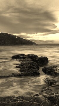 Sepia