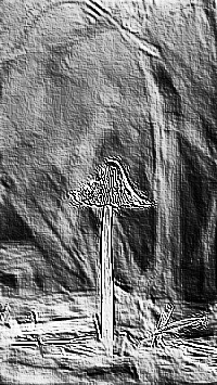 Skamielina