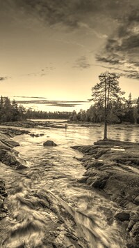 Sepia