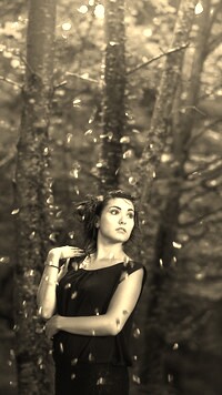 Szary + Sepia