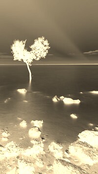 Sepia + Negatyw