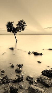 Szary + Sepia