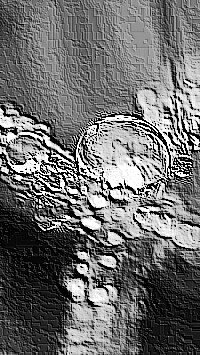 Skamielina
