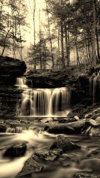 Sepia