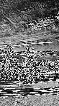 Skamielina