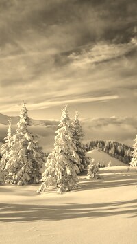 Szary + Sepia