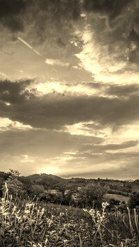 Szary + Sepia