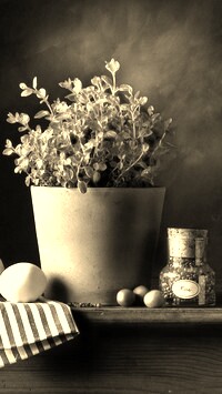 Szary + Sepia