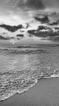 Szary