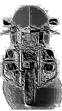 Skamielina