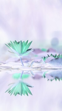 Negatyw