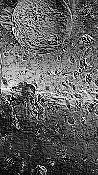 Skamielina
