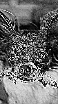Skamielina