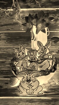 Sepia + Negatyw