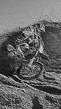 Skamielina