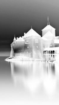 Szary + Negatyw