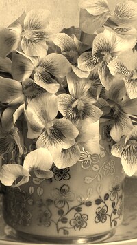 Szary + Sepia