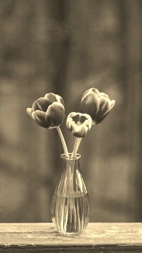 Szary + Sepia