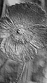 Skamielina