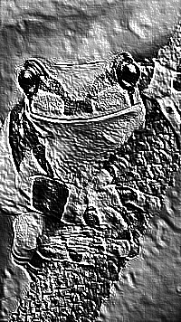 Skamielina