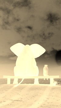 Sepia + Negatyw