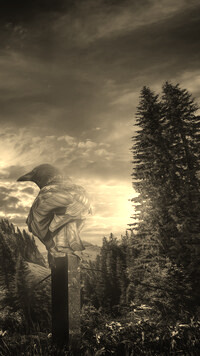 Szary + Sepia