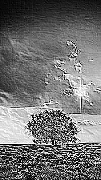 Skamielina