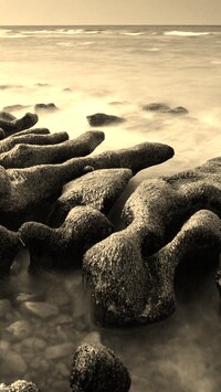 Szary + Sepia