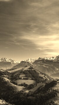 Sepia