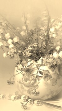 Szary + Sepia