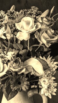 Szary + Sepia
