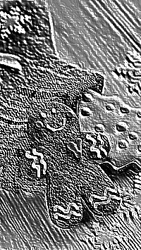 Skamielina