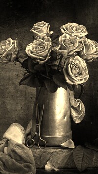 Szary + Sepia