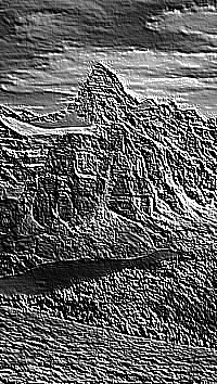 Skamielina