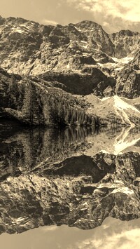 Szary + Sepia