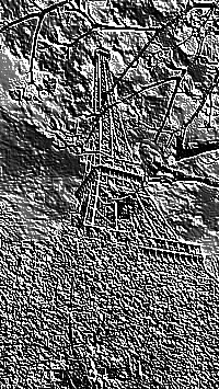 Skamielina