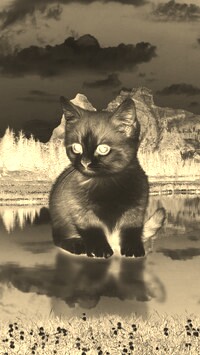 Sepia + Negatyw