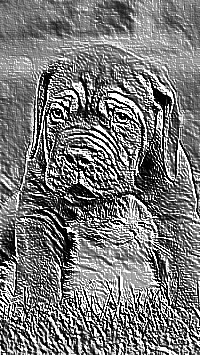 Skamielina