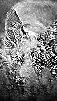 Skamielina