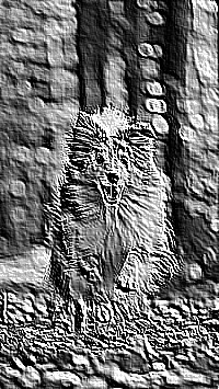 Skamielina