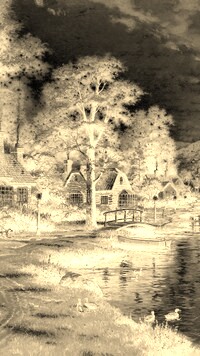 Sepia + Negatyw
