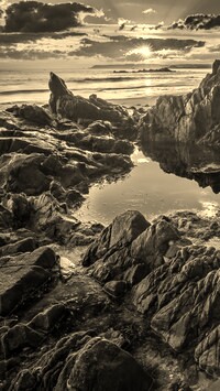 Sepia