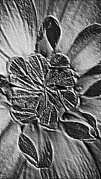 Skamielina