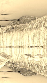 Sepia + Negatyw