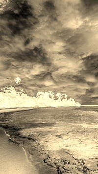 Sepia + Negatyw