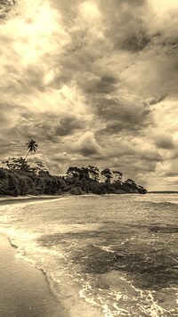 Sepia