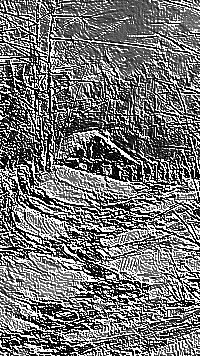 Skamielina
