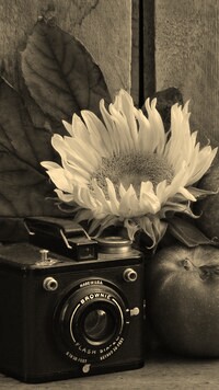 Szary + Sepia