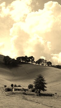 Szary + Sepia