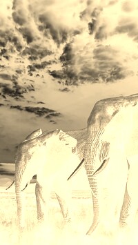 Sepia + Negatyw